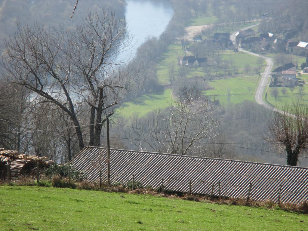 Le Petit Chat Beaulieu-sur-Dordogne Kültér fotó